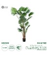 GloboStar® Artificial Garden PALM TREE 20014 Τεχνητό Διακοσμητικό Φυτό Φοινικόδεντρο Βεντάλια Υ210cm